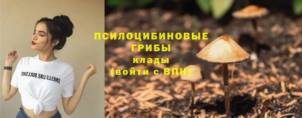 стафф Нея