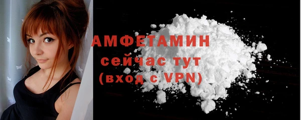 гашик Новозыбков