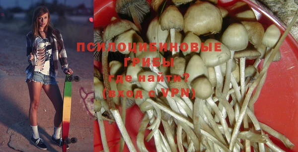 спиды Новокубанск