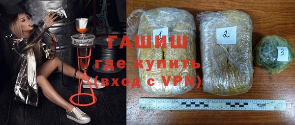 гашик Новозыбков