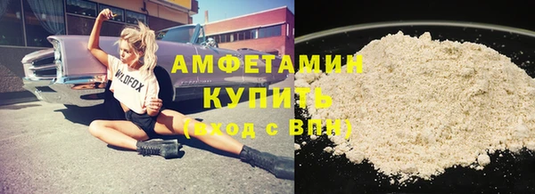 гашик Новозыбков