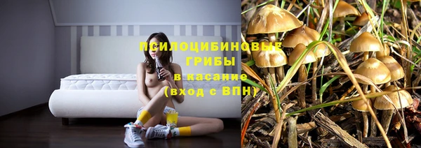 гашик Новозыбков