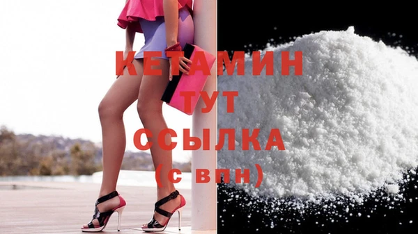 гашик Новозыбков